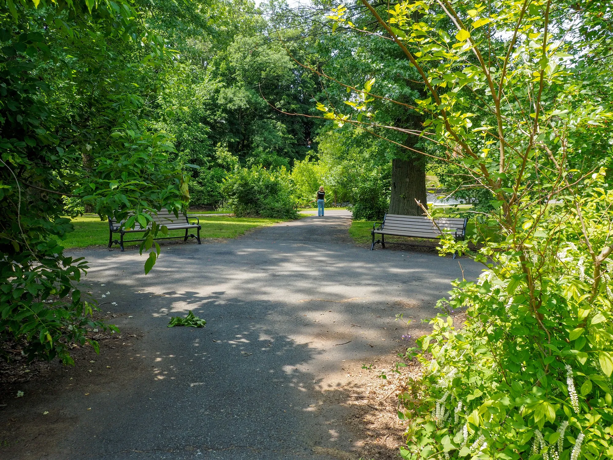 Morris County Park in Raritan watershed