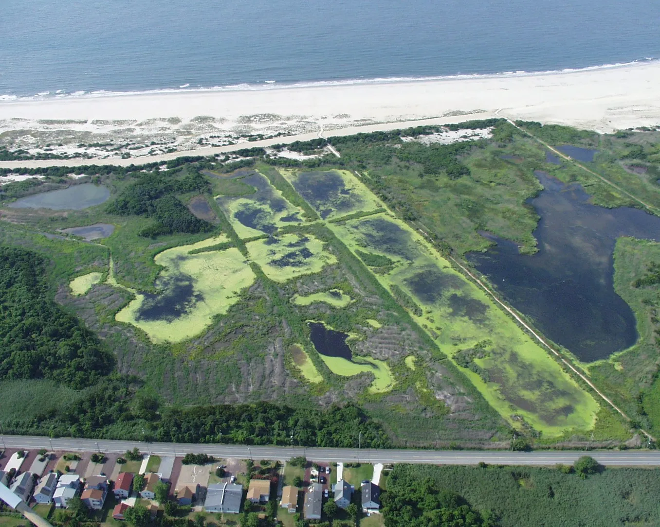 Cape May Meadows Before restoration of the Lower Cape