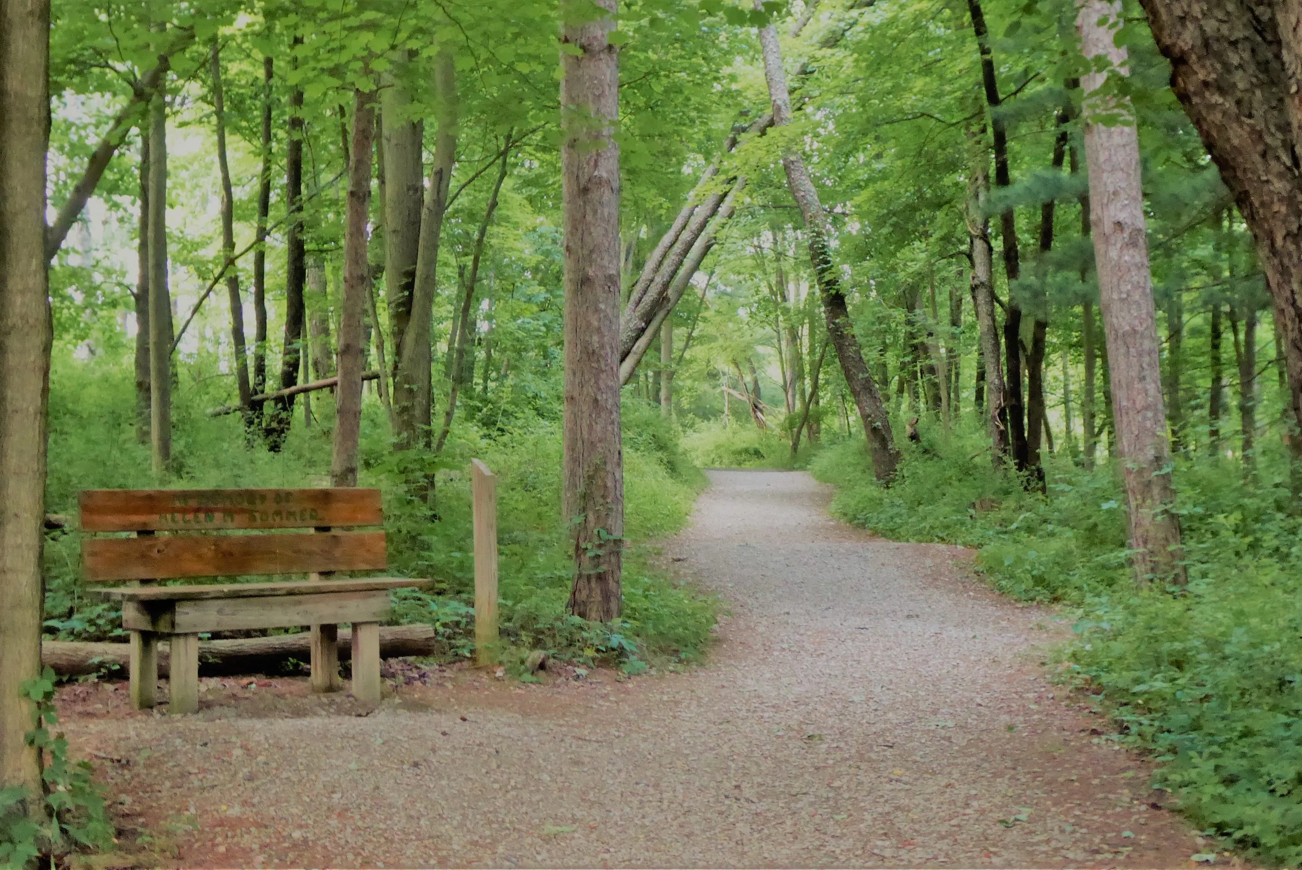 Bench and trail at Wilderness Center Photo by John Lorson