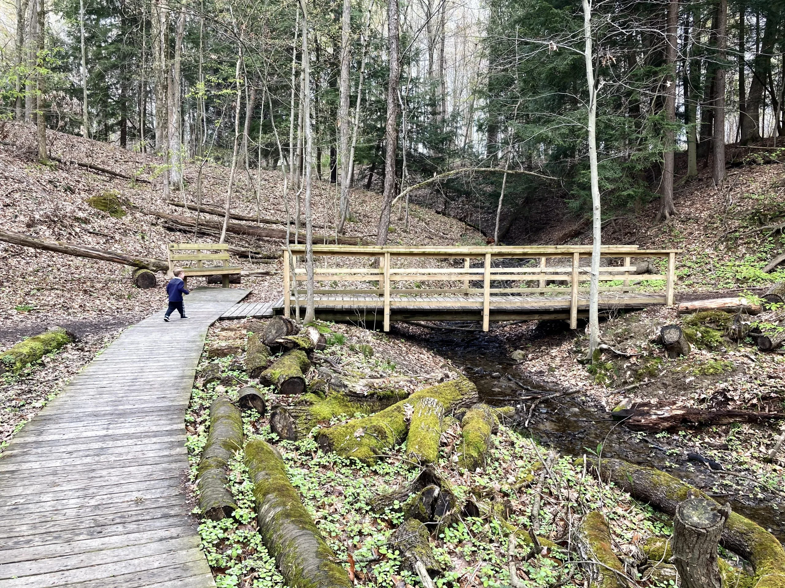 wooden bridge