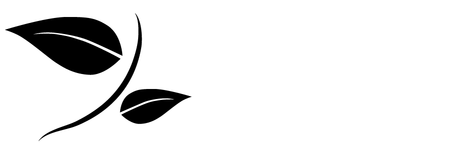 Sustainable Economies Consulting Logo